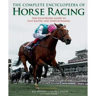 Exploring UK Horse Racing Betting: Trends, Odds, and Winning Tactics