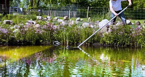Compact, Powerful, and Perfect for Clear Garden Ponds