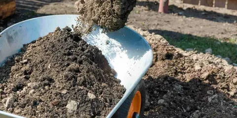 How to Decide Between Fill Dirt and Topsoil in Dirt for Sale