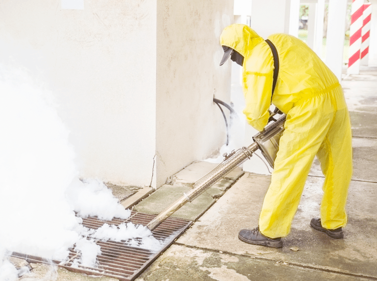 How Professional Termite Control Protects Your Property